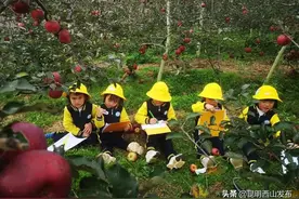 西山区这几所幼儿园不得了，主题课程“玩”出了新花样图片