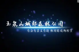 「锦绣太原品牌行」玉泉山城郊森林公园：有山有景又有趣 休闲嬉戏两相宜图片