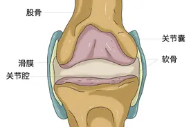 双手发胀无法握紧、常常感到头晕眼花，究竟是哪出了毛病？图片