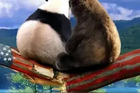 中俄共同开发俄远东地区，双向奔赴或改变全局图片