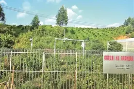 灾害应急丨2022年广西果树重大病虫害防控方案图片