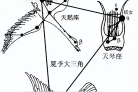 【科学向日葵】天文课堂 | 认识夏季星座（二十四）——天鹅座图片