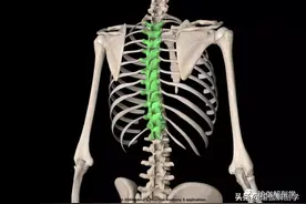 3个简单的动作，改善胸廓活动受限，在家就能练图片