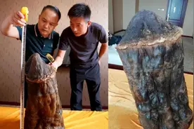 “太岁”是什么东西？中国科学家们研究发现，其组成成分过于复杂图片