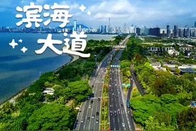 双向14车道！滨海大道下沉改造新进展来啦！图片
