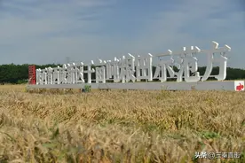西咸新区：跨省务工拿补贴 稳岗就业暖民心图片