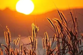 壁纸：黄昏夕阳，落日余晖，自然美景图片