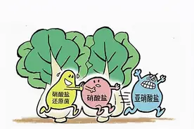 硝酸盐和亚硝酸盐，天使还是魔鬼？医生告诉你答案图片