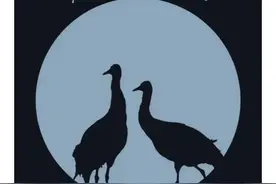 ​这些高原上的“精灵”，你认识吗？图片