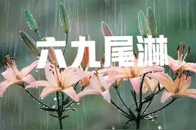 “不怕六九尾晴，就怕六九尾淋”，今日六九尾，下雨有啥说法？图片