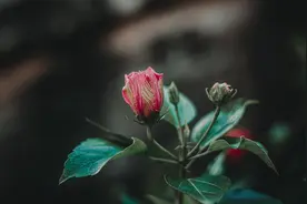一个人的城府有多深，办事就有多靠谱图片