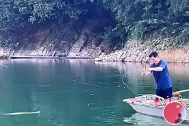 盘点钓鱼人的骚操作！毒蛇游过浑然不知，水中拉鱼常规操作图片