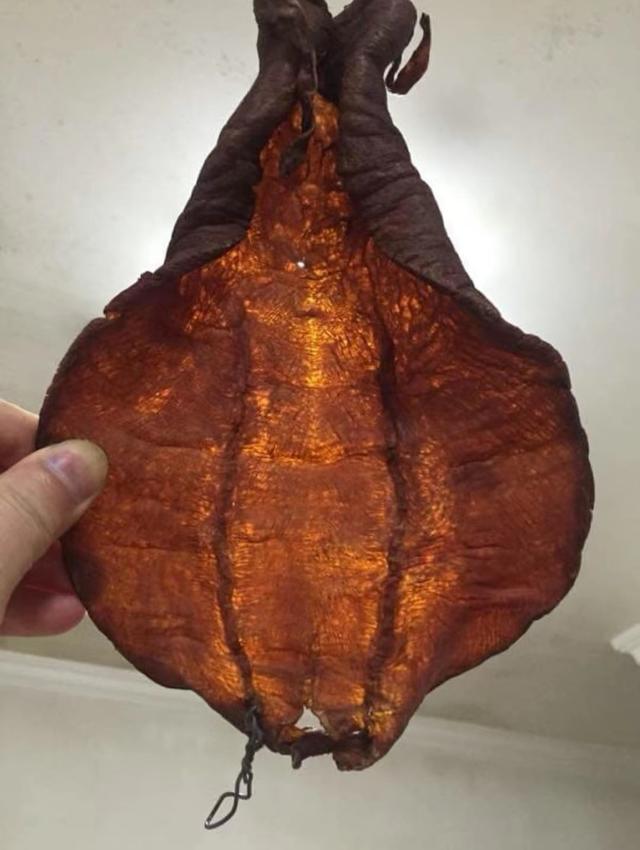 香港 花胶 2026年香港花胶可以过海关吗