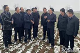 宝鸡市副市长赵甲宏到凤翔区彪角镇调研小麦早春管理等工作图片