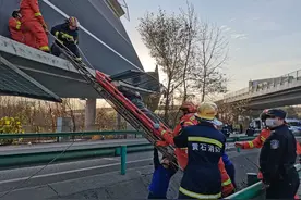 湖北一高速桥梁下午侧翻，已搜救出8人图片