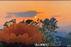 知其不可奈何，而安之若命图片