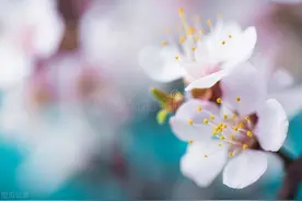 四月祝福语｜|"最美人间四月天，莫负四月好时光。"（值得收藏）图片