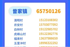 防疫“安心手册” | 请收藏！这些电话可解燃眉之急！图片
