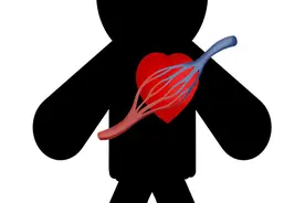 研究：男性做俯卧撑能降低心血管疾病？俯卧撑的好处和禁忌与你说图片