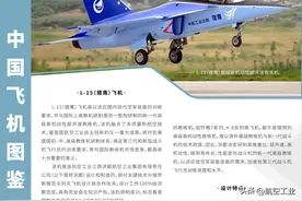 中国飞机图鉴 | L-15（猎鹰）：高级高机动性超声速教练机图片
