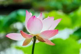 不用花钱的六种布施，每个人都可以去做图片