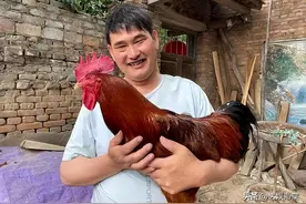 大衣哥女儿朱雪梅要嫁人了？侏儒男子上门提亲，追着朱之文喊岳父图片