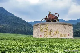 八种名茶的动人传说｜鉴别冲泡全攻略图片