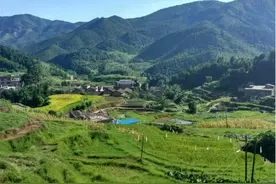 藏在农村的5个暴利小生意，你知道多少？知道的都在偷偷发财！图片