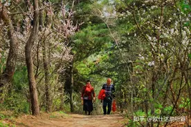 助听器是什么，老人有听损戴助听器能缓解吗？戴助听器有依赖吗？图片
