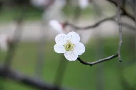 人这一生，学会自私，你就赢了图片
