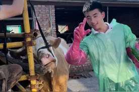 “00后”在线养牛，朴实的少年感溢出屏幕图片