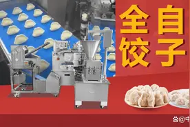 全自动饺子机哪家牌子好？半自动水饺成型机价格是多少钱一台？图片