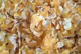 压片玉米将成为饲料产业的工业革命！图片
