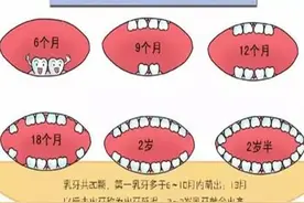 家长必看：宝宝萌牙换牙顺序和时间表，超详细，最全攻略值得收藏图片