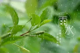 沾衣欲湿杏花雨：十二首著名的春雨诗词，展示大诗人的雨中情图片