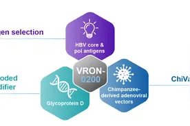 乙肝在研新药VRON-0200，1期临床试验，有望2023年上半年开始图片