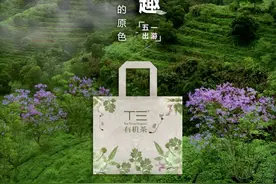 早鸟福利丨五一出游节，跟着T三有机茶玩点不一样的！图片