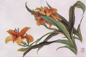 工笔花卉画谱40幅图片