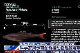 我国科学家证实人类是从鱼进化来的！从鱼到人演化需近5亿年……图片