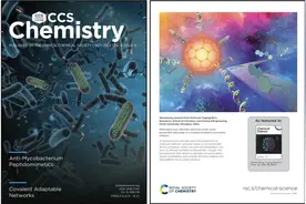《JACS》封面，湖南大学白玉罡教授课题组！图片
