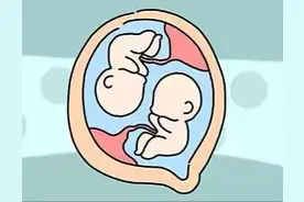 怎么才能怀双胞胎？可以这样做图片