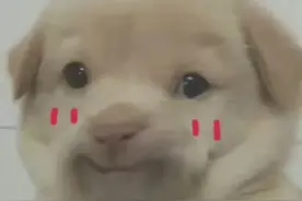 表情包：如果不能并肩同行，那就假装恰好路过.图片