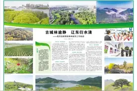 国家森林城市辽阳篇：古城林逾静，辽东衍水清图片