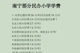 南宁部分民办小学学费，排第一个都可以直接一套房子首付！图片