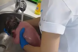 网友晒护士给新生儿洗澡现场，水龙头下直接冲，手法娴熟像洗菜图片