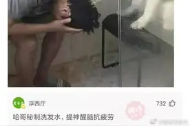搞笑：一组网友神回复，好好的房子被人喷上了个拆字，你看气人不图片