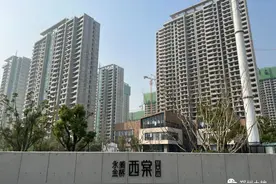 金桥、永威西棠项目的恩怨情仇录图片