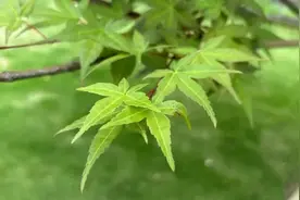 男人放弃一个女人，只有三句话，句句是血泪图片