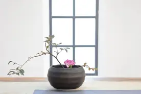 我悟了：爱情只是生活的一部分图片