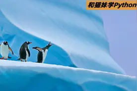 PDF复制文本失败(只能复制为图片)？看猫妹如何用Python搞定(10)图片